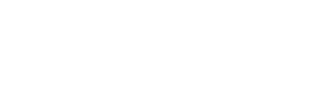 armadillos
